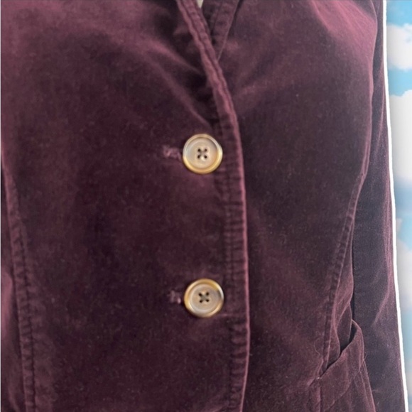 J. CREW FACTORY Velveteen Blazer Academia Collegiate Regency Preppy Royalcore - Picture 4 of 12